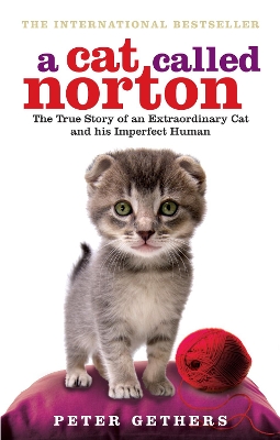 Book cover for A Cat Called Norton