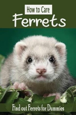 Cover of How to Care Ferrets