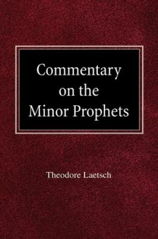 Cover of Commentary on the Minor Prophets