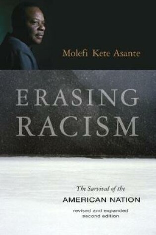 Cover of Erasing Racism