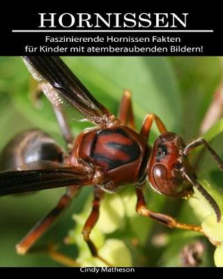 Book cover for Hornissen