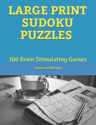 Book cover for Large Print Sudoku Puzzles