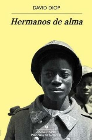 Cover of Hermanos de alma