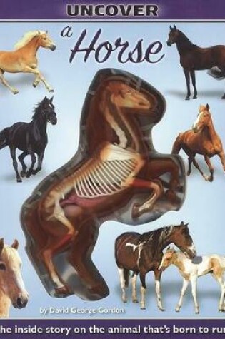 Cover of Uncover a Horse