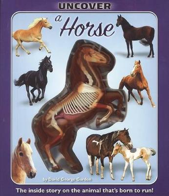 Cover of Uncover a Horse