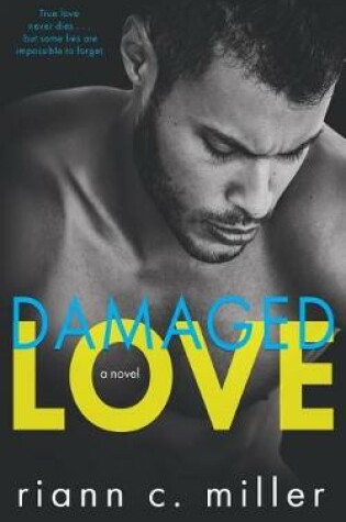 Cover of Damaged Love