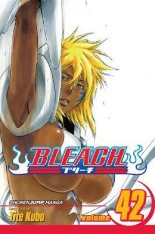 Cover of Bleach, Vol. 42