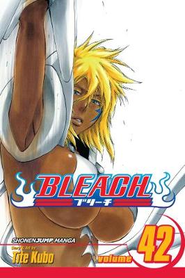 Cover of Bleach, Vol. 42