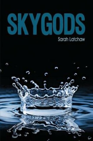 Cover of Skygods
