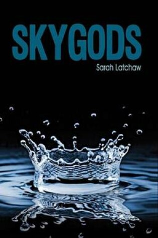 Cover of Skygods