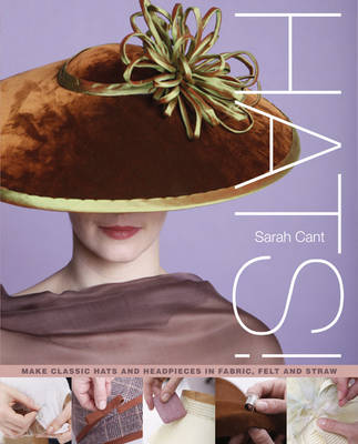 Book cover for Hats