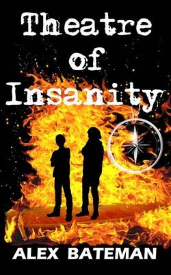 Book cover for Theatre of Insanity