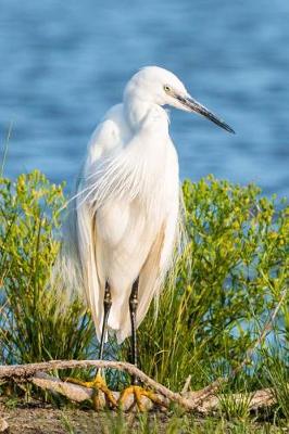 Book cover for White Egret Bird Journal