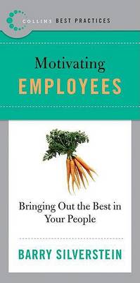 Book cover for Best Practices: Motivating Employees