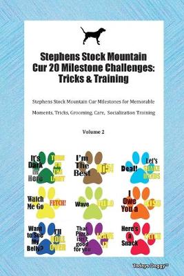 Book cover for Stephens Stock Mountain Cur 20 Milestone Challenges