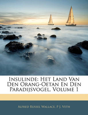 Book cover for Insulinde