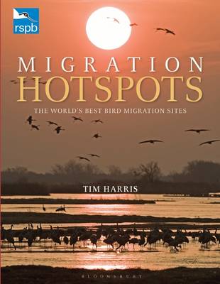 Book cover for RSPB Migration Hotspots