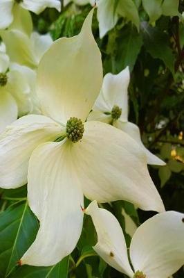 Cover of Summer Journal Flowering Tree