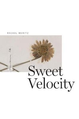 Book cover for Sweet Velocity