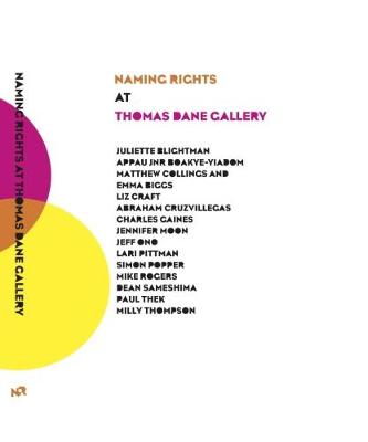 Book cover for Naming Rights at Thomas Dane Gallery