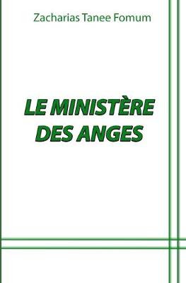 Book cover for Le Ministère des Anges