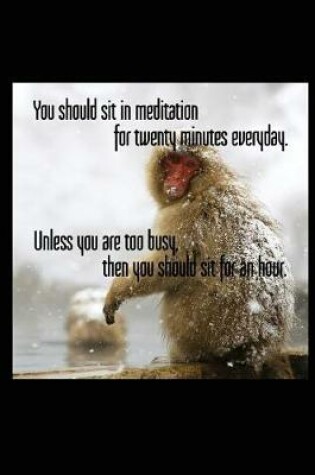 Cover of You Should Sit in Meditation for Twenty Minutes Everyday. Unless You Are Too Busy, Then You Should Sit for an Hour