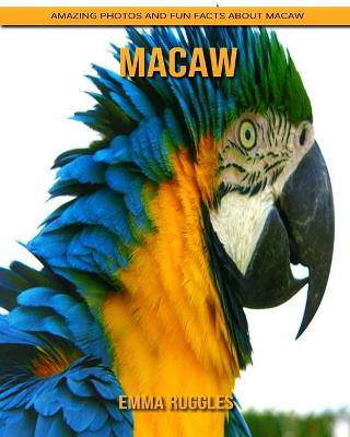 Book cover for Macaw