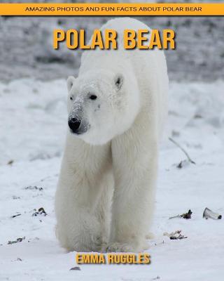 Book cover for Polar bear