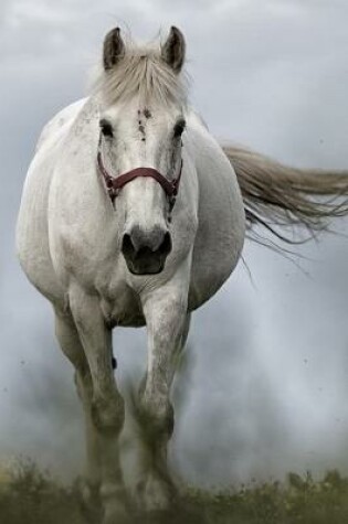 Cover of White Horse in the Mist Journal