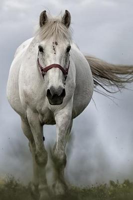 Book cover for White Horse in the Mist Journal