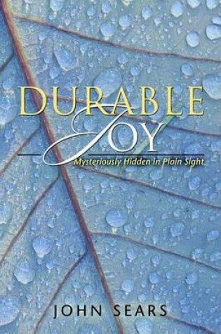 Cover of Durable Joy