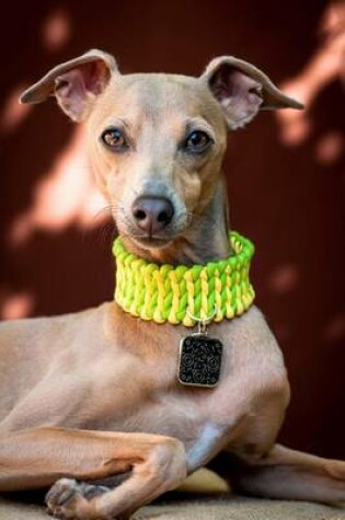 Cover of Italian Greyhound with a Yellow and Green Collar Dog Journal