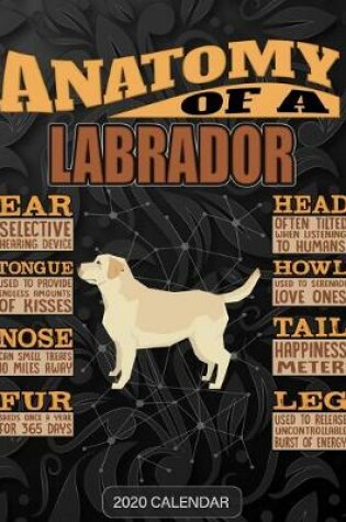 Cover of Anatomy Of A Labrador Retriever