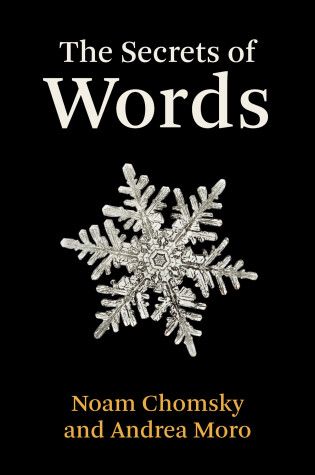 Cover of The Secrets of Words