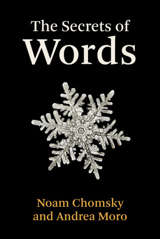 Cover of The Secrets of Words