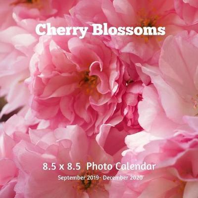 Book cover for Cherry Blossoms 8.5 X 8.5 Calendar September 2019 -December 2020