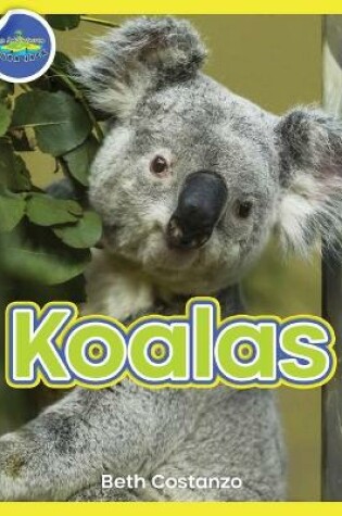 Cover of Koala Activity Workbook ages 4-8