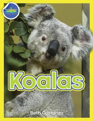 Book cover for Koala Activity Workbook ages 4-8