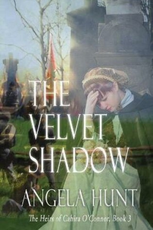 Cover of The Velvet Shadow