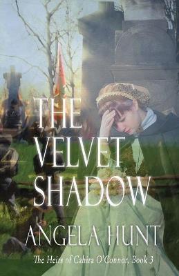 Book cover for The Velvet Shadow