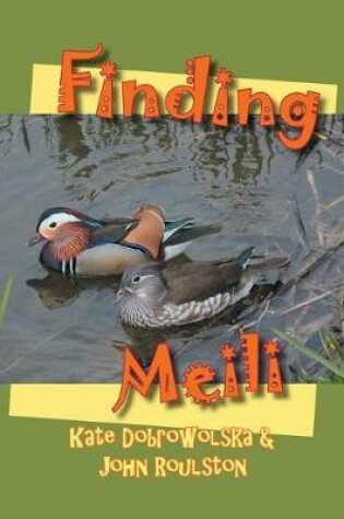 Cover of Finding Meili