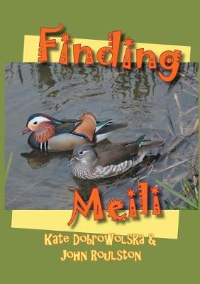 Book cover for Finding Meili