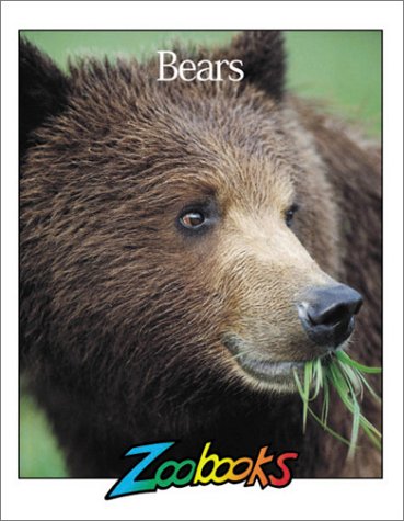 Book cover for Bears