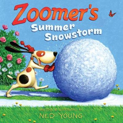 Book cover for Zoomer's Summer Snowstorm