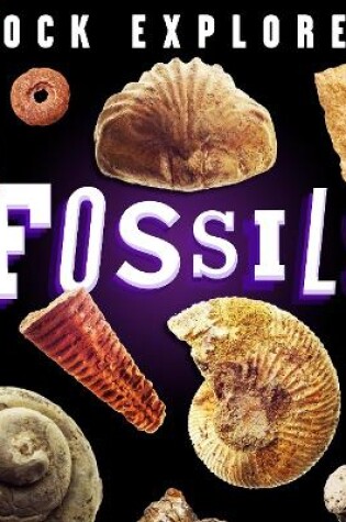 Cover of Rock Explorer: Fossils