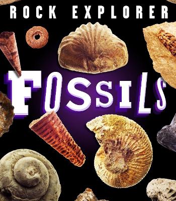 Book cover for Rock Explorer: Fossils