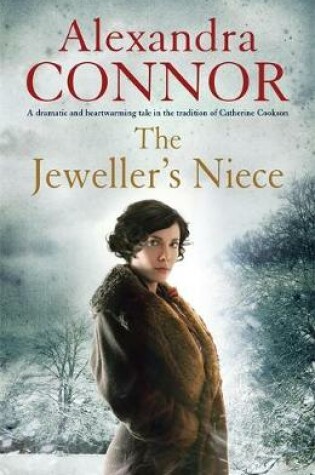 Cover of The Jeweller's Niece