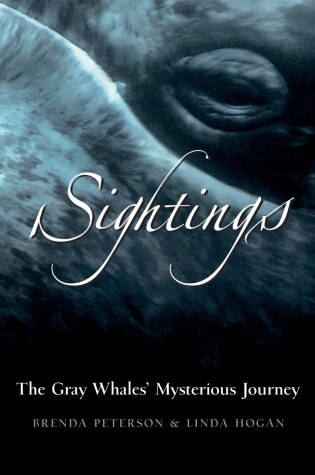 Cover of Sightings