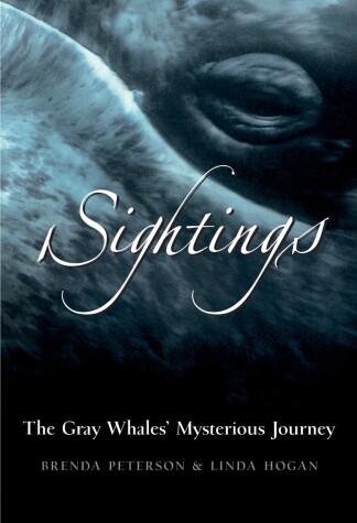 Book cover for Sightings