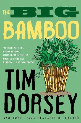 Cover of Big Bamboo